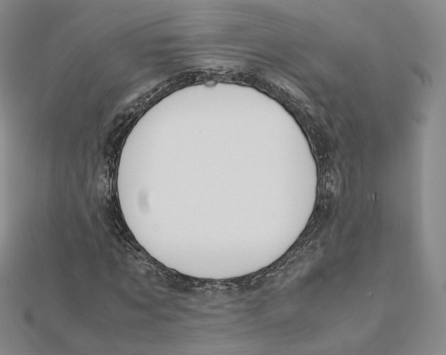 X0000112070869200909011021