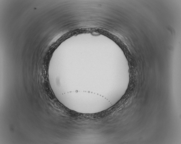 X0000112070871200909011021