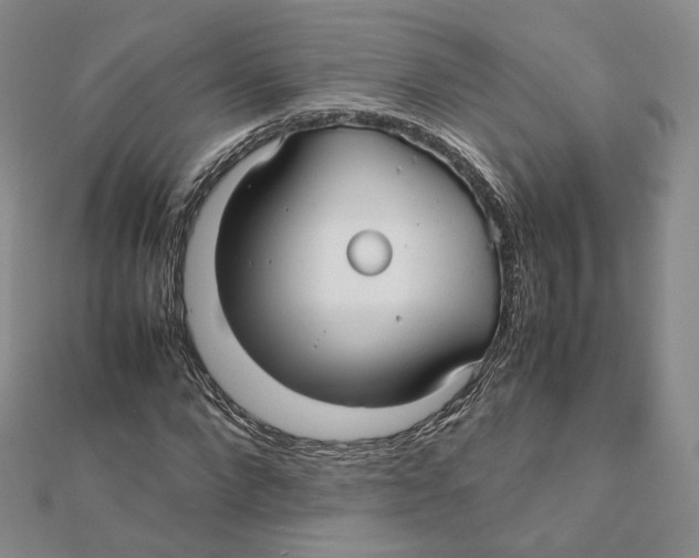 X0000112070872200909011021