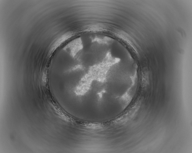 X0000112070874200909011021