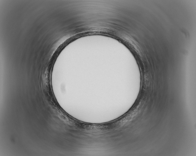 X0000112070875200909011021