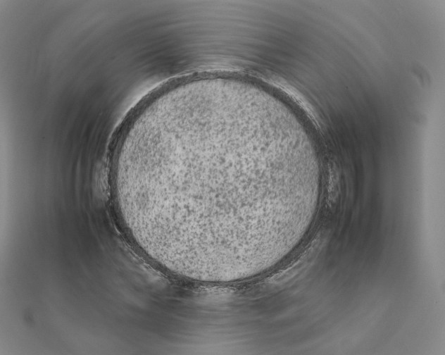 X0000112070878200909011020