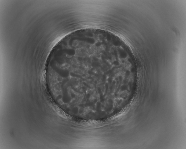 X0000112070879200909011020