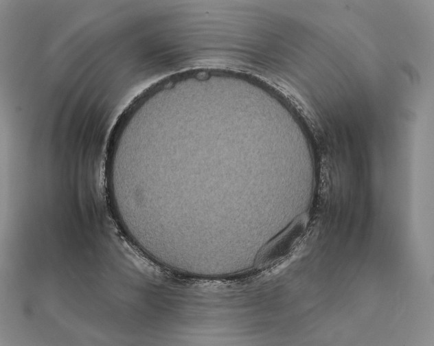 X0000112070880200909011020