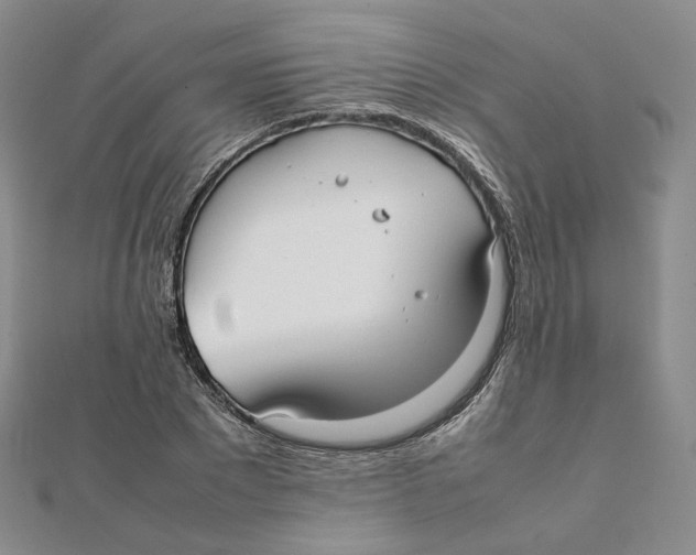 X0000112070881200909011020