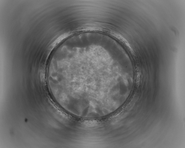 X0000112070882200909011020