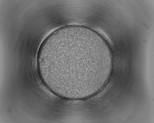 X0000112070884200909011020