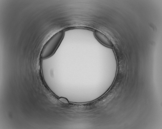 X0000112070885200909011020