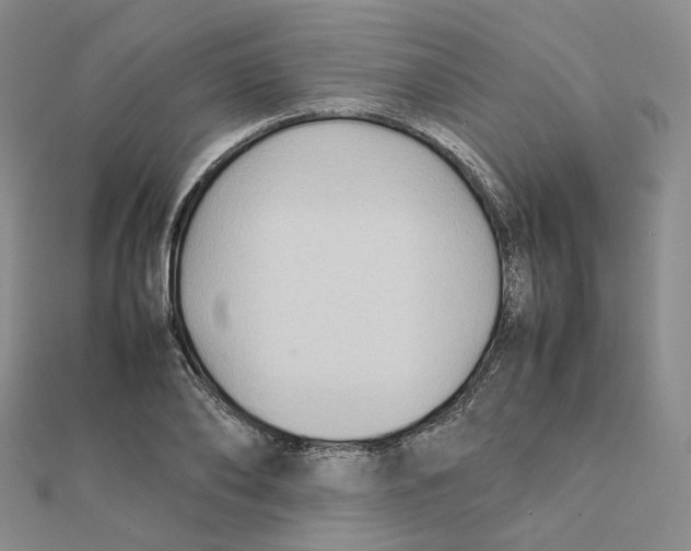 X0000112070886200909011020