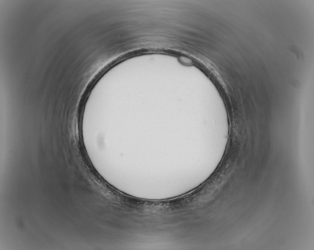 X0000112070887200909011020