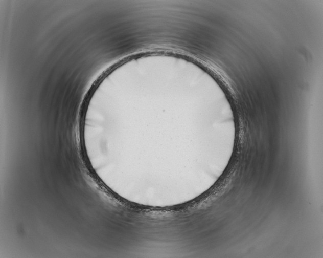 X0000112070888200909011020