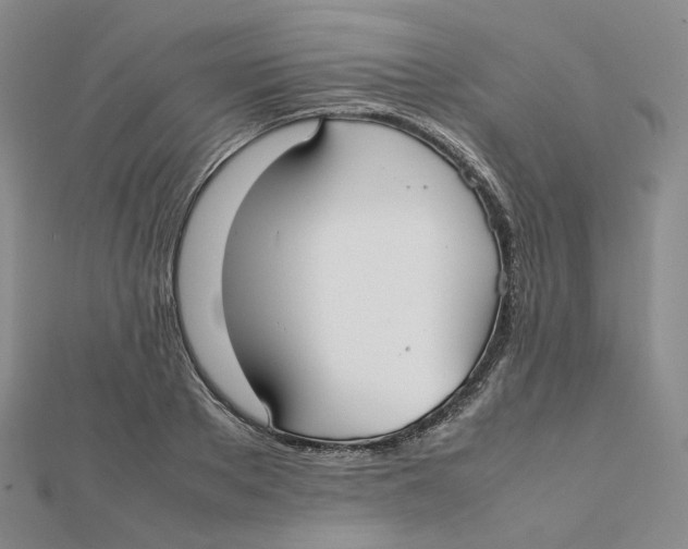 X0000112070889200909011020