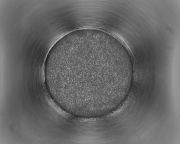 X0000112070892200909011020