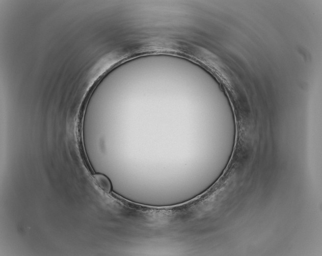 X0000112070893200909011020