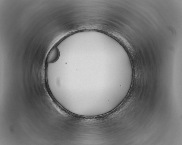X0000112070894200909011020