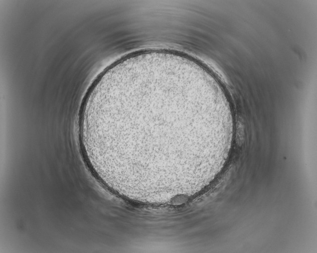 X0000112070895200909011020
