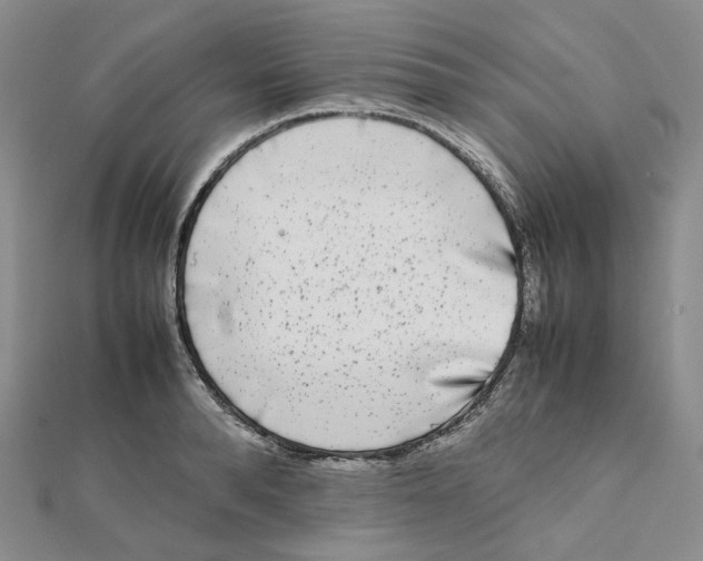 X0000112070896200909011020