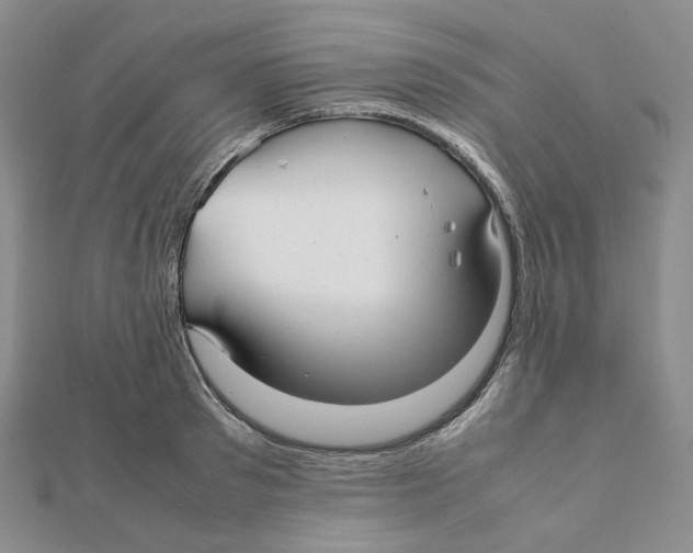 X0000112070897200909011020