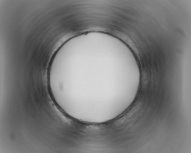 X0000112070898200909011020