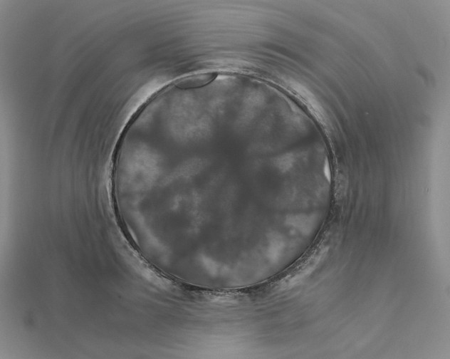 X0000112070899200909011020