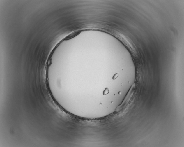 X0000112070900200909011020
