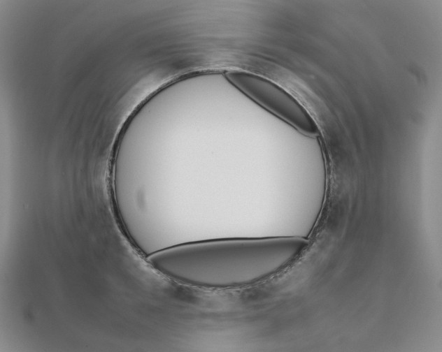 X0000112070901200909011020