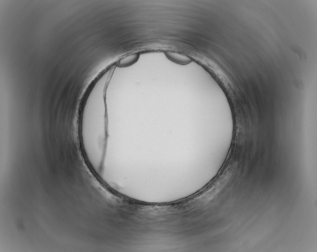 X0000112070902200909011020