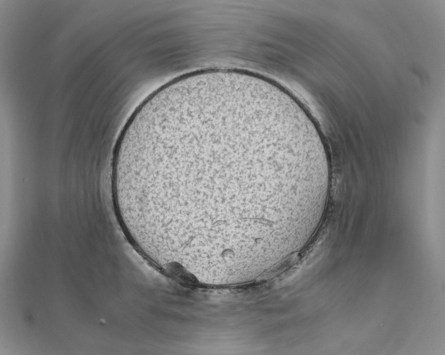 X0000112070903200909011020