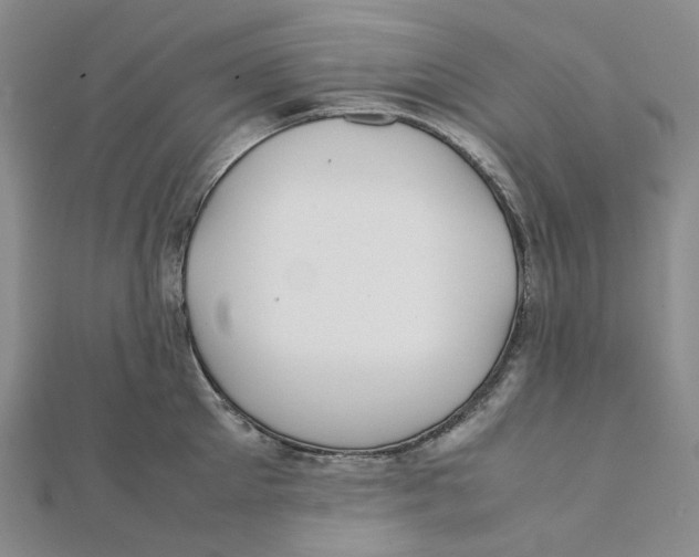 X0000112070905200909011020