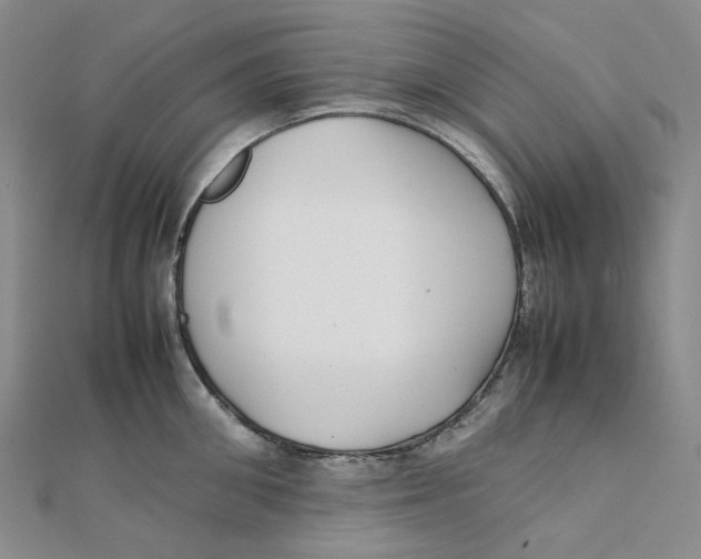 X0000112070906200909011020