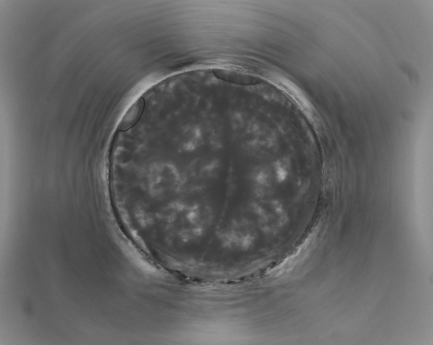 X0000112070907200909011020