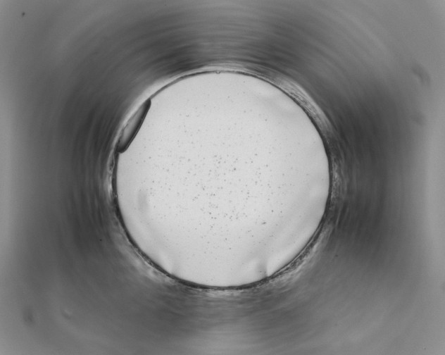 X0000112070908200909011020