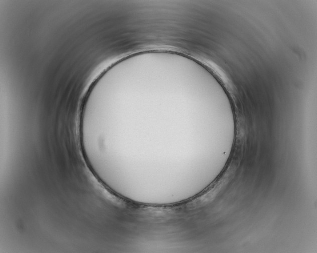 X0000112070910200909011020