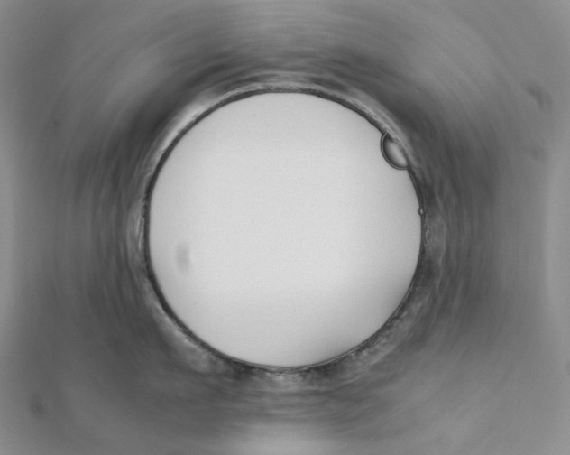 X0000112070911200909011020