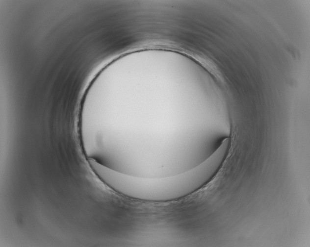 X0000112070912200909011020