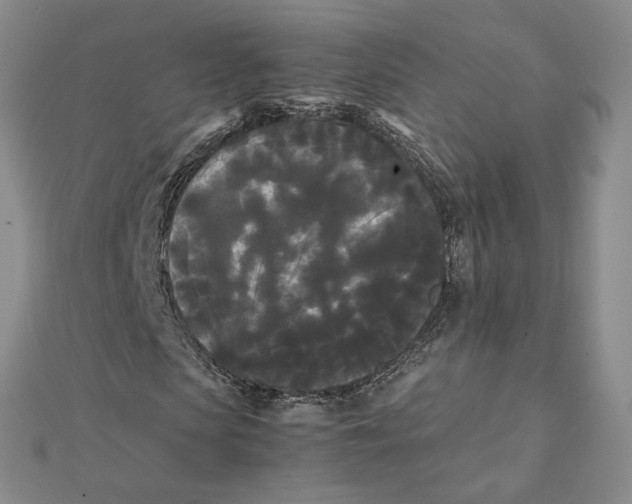X0000112070913200909011019