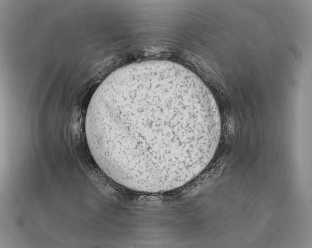 X0000112070914200909011019