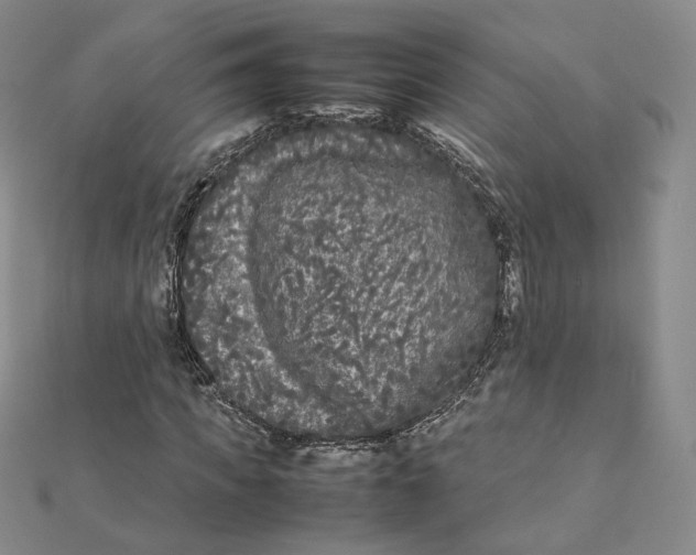 X0000112070917200909011019