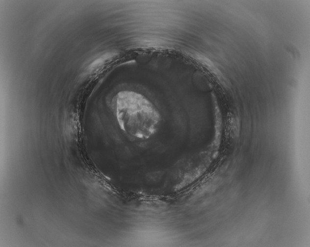 X0000112070918200909011019