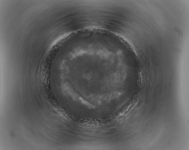 X0000112070919200909011019