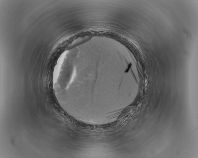 X0000112070920200909011019