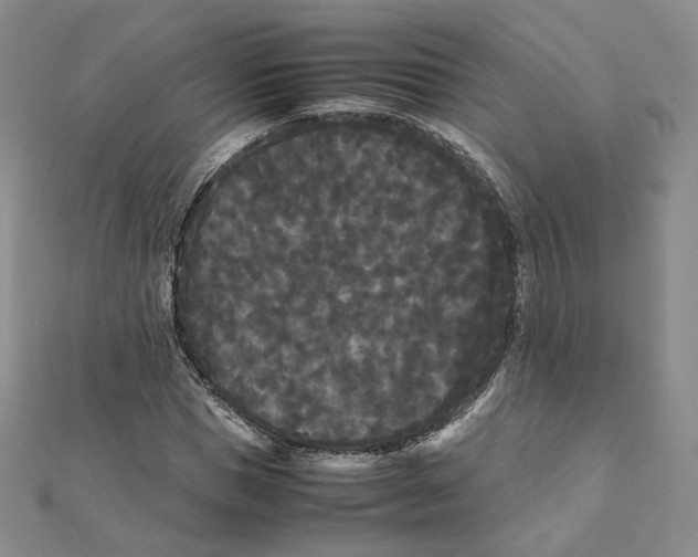 X0000112070921200909011019