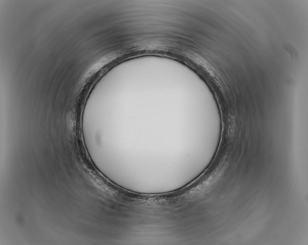 X0000112070922200909011019