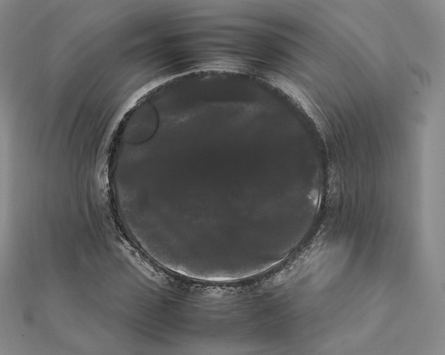 X0000112070923200909011019