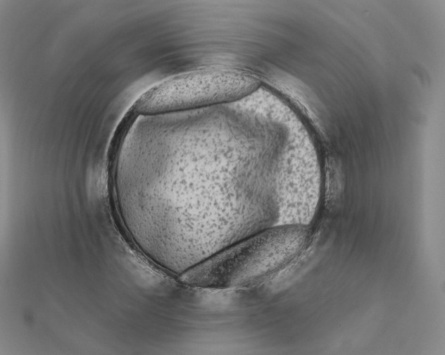 X0000112070924200909011019