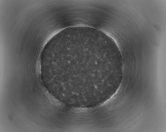 X0000112070925200909011019