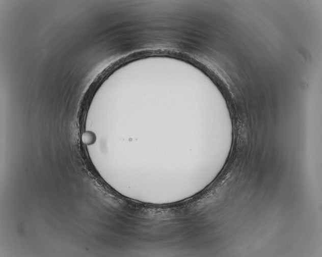 X0000112070927200909011019