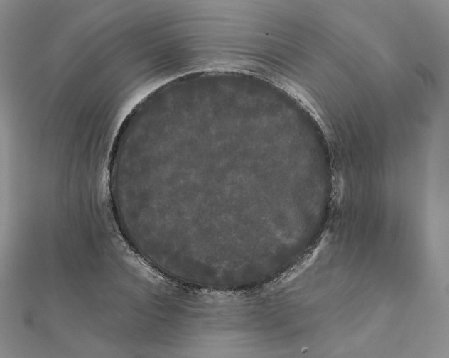 X0000112070928200909011019