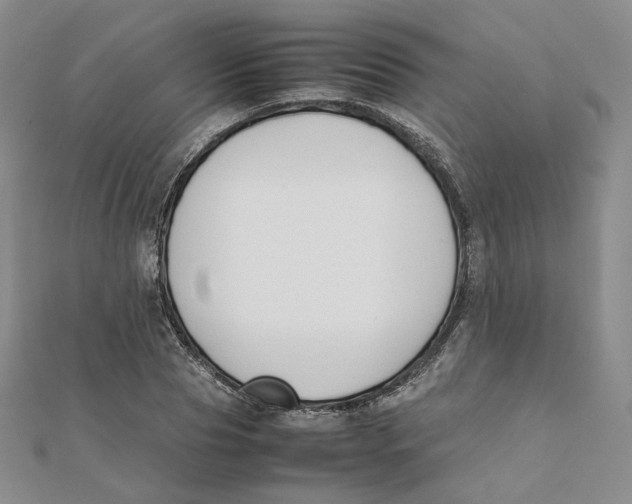 X0000112070929200909011019
