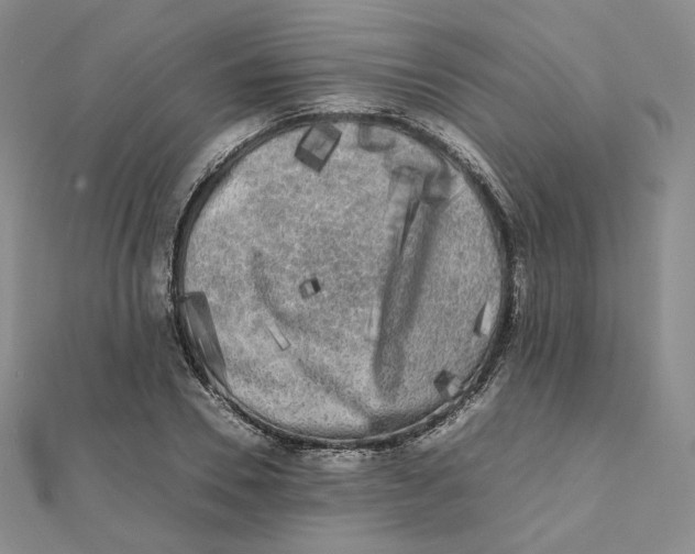 X0000112070930200909011019